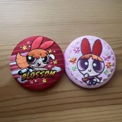 ブロッサム 刺繍缶バッジ　2個セット