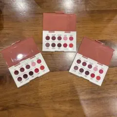 MENARD リップパレットセット 2023 同品3つ