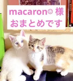 macaron☺︎ new⑤チャーム出品様 リクエスト 7点 まとめ商品