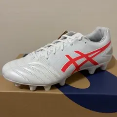 asics DS LIGHT ADVANCE WIDE 26cm 左のみのサムネイル