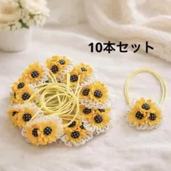 ハンドメイド　業務用 ペットトリミングリボン チョーカー　10本セット