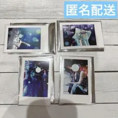 いれいす 実写チェキ風トレカ 2024 -hotoke-  コンプリートセット