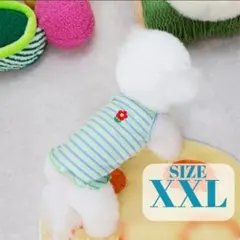 Item thumbnail for item 0301d1ce-3676-4453-b5f0-cfcc05c801d5