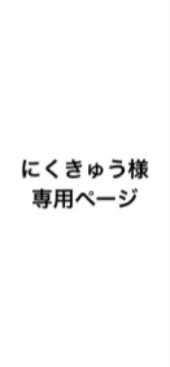 専用ページ