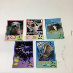 最終価格】TOBA AQUARIUMコレクションカード キラちゃん - メルカリ