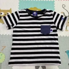 Champion ストライプ Tシャツ 100cm