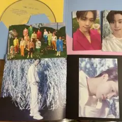 SEVENTEEN ディノ Sector17 compact ver.コンプ