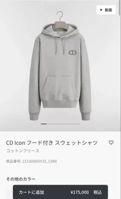 【試着のみ】【極美品】ディオール DIOR アイコン ICON パーカーのサムネイル