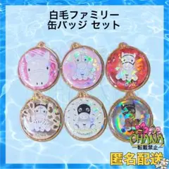 ◆　競馬　JRA　◆　白毛ファミリー　◆　缶バッジ　◆　１ＢＯＸ　全１０種　◆ ◇ 競馬 JRA ◇ 白毛ファミリー ◇ 缶バッジ ◇ 1BOX 全10