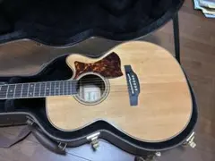 2026年最新】takamine dmp50sの人気アイテム - メルカリ