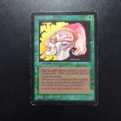 ラノワールのエルフ LEB β ベータ版 旧枠 MTG 状態mp ラノワールのエルフ LEB β ベータ版 旧枠 MTG 状態mp - メルカリ