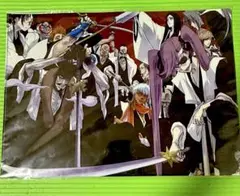 BLEACH EX オリジナルクリアファイル A3 〈初代護廷十三隊〉 - メルカリ