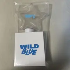 2026年最新】WiLD blue ペンライトの人気アイテム - メルカリ