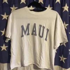 J.GALT MAUI プリント Tシャツブランディーメルビルsale‼️のサムネイル
