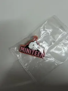 MINITEEN ぷっくりめじるしアクセサリー ウジ