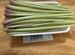 新鮮な天然山采フキ野菜 800g 農薬・化学肥料不使用のサムネイル