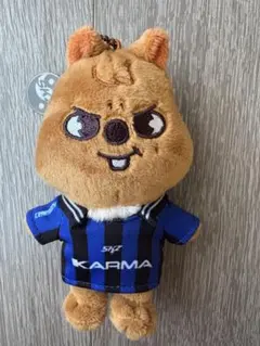 Stray Kids skzoo ハン KARMA