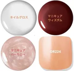 Genish & Nail Holic ネイル5本セット