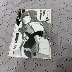FAIRY TAIL フェアリーテイル 中国 上海 トレカ エルザ ジェラール