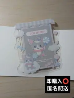 Jochumチュララ 硬質カードケース