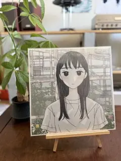 ん・フェニ N's PAST RECORD アナログ盤 - メルカリ