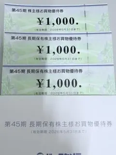 ビックカメラ　株主優待券 3000円
