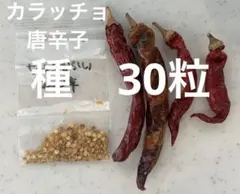 唐辛子　種　30粒