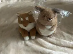 ぽちゃいぬ ぬいぐるみ(しば) オーストラリアのどうぶつぽちゃ (カンガルー)のサムネイル