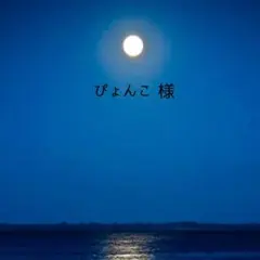 ぴょんこ 様 ご専用