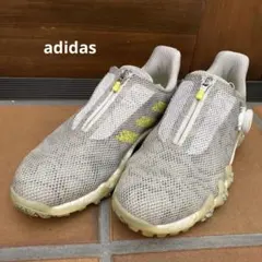 adidas ゴルフシューズ 女性用 グレー/イエロー
