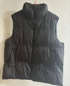 ダウンベスト