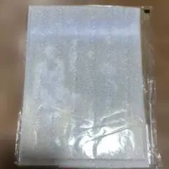 集合 KV ver. ミニアクリルアート ヴァニタスの手記