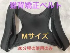 Item thumbnail for item 7df6ed77-25d4-45a7-8f9a-cad18ab9f8b7