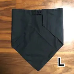 Item thumbnail for item 007c6fca-5874-440d-bb78-82cb3b2aa325