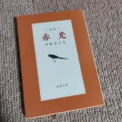 斎藤茂吉「赤光」5版 大正8年 古書 古本 芥川龍之介 斎藤茂吉「赤光」5版 大正8年 古書 古本 芥川龍之介