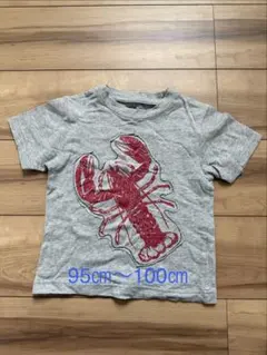 Gymboree ロブスタープリント Tシャツ グレー 95-100cmのサムネイル