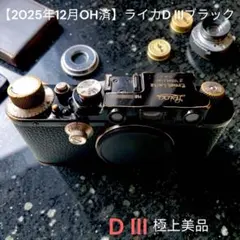 2026年最新】ヘクトール 28mmの人気アイテム - メルカリ