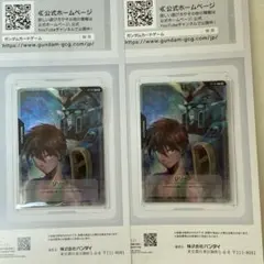 ヒイロ　リソース 2025年最新】ヒイロ・ユイ リソースの人気アイテム - メルカリ