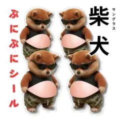 柴犬 ぷにぷに 立体シール 4匹セット おなかぷにぷに 可愛い メタボ犬