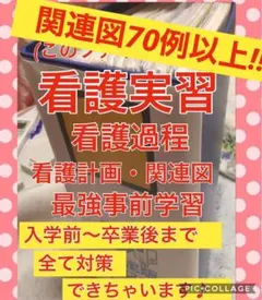 看護実習資料 看護学生 看護過程の展開 手順書 関連図 事前学習 看護計画 国試