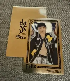 Stray Kids World Tour ライブフォトカード