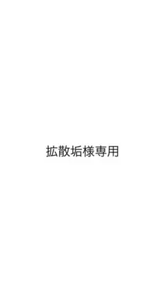 専用出品