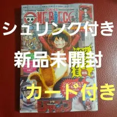 ONE PIECE magazine　ワンピースマガジン 20号　プロモカード付