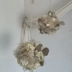 スモークツリー ボール フライングリース きみどり - メルカリ