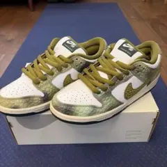 アレクシス・サブローン × ナイキ SB ダンク ロー プロ カメレオン