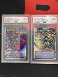 PSA10 連番　ブラックカオス　カオスソルジャー　オーバーフレーム　プリシク PSA10 連番 ブラックカオス カオスソルジャー オーバーフレーム