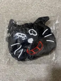 つば九郎直筆まけるもんか！チャリティーチケットホルダー付き