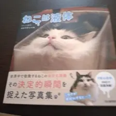 ねこは液体 猫写真集