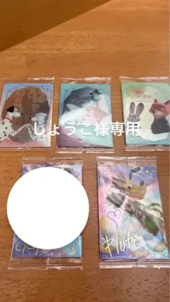 しょうこ様専用品