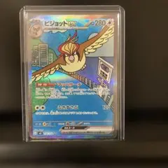 ピジョットex SAR